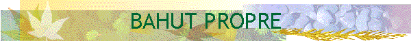 BAHUT PROPRE
