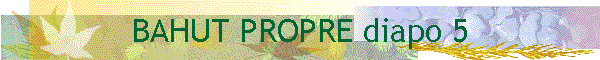 BAHUT PROPRE diapo 5