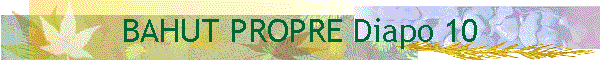 BAHUT PROPRE Diapo 10