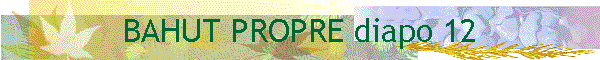 BAHUT PROPRE diapo 12